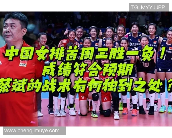 北京排球队防反体系解析：排球战术的创新与应用探讨