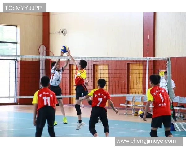 重庆排球队在世锦赛中的速度表现分析与未来展望 重庆排球队在世锦赛中的速度表现分析与未来展望