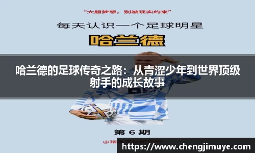 k1体育