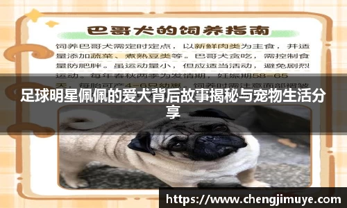 k1体育十年品牌值得信赖